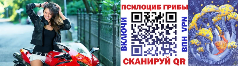 Псилоцибиновые грибы мухоморы  kraken зеркало  Вязьма 